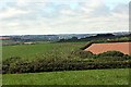 Looking across fields with Truro Cathedral in the distance in TR2 5JH