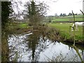 Weir and sluice gate by River Coly in EX24 6AB