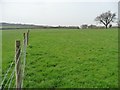 Farmland south of Hawkshead Road in EN6 3EE