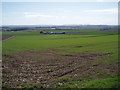 Farmland at Nether Brighty in DD4 0PU