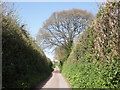 Lane leading to Kestercombe Cottages in TA2 8JD