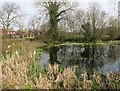 Small Pond in Chigwell Row in IG7 6EW