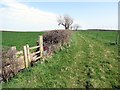 Llwybr cyhoeddus Llansaint / Llansaint public footpath in SA17 5AY