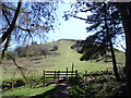 View over a stile between Pontesford Hill and Earls Hill in SY5 0UH