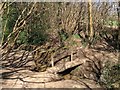 Footbridge, Blunts Wood and Paiges Meadow Local Nature Reserve in RH17 5DR