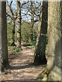 Path, Blunts Wood and Paiges Meadow Local Nature Reserve in RH17 5DR