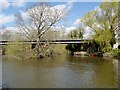River Thames, Black Potts Railway Bridge in SL3 9AB