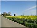 Grain silos and oilseed rape in flower in IP21 4RT