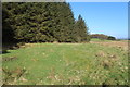Farmland at Blawquhairn Hill in DG7 3UJ