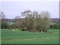The Barrow Hill Arm of the Charnwood Forest Canal in Osgathorpe