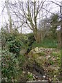 Stream by Clay Lane, Ridgway, near Colyton in EX24 6ER