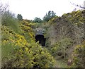 Railway tunnel portal at Ravenscar in YO13 0ES