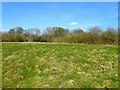 Six and a Half Acre Field/Hilly Field in RH17 5HN