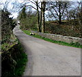 Bridge over a stream near the entrance to Mynachdy Farm, Ynysybwl in Ynysybwl and Coed-y-Cwm Community