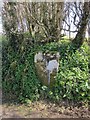 Boundary stone near Felldownhead in PL19 0QR