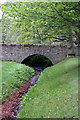 Bridge over a burn of leaves in AB54 8FH