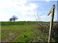 Footpath across field of crops in B60 4BX