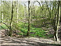 Bunyan's Dell, Wain Wood, Preston in SG4 7TX