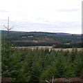 View over the trees, Deadwater Trail, Kielder Castle in NE48 1EN