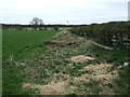 Field and hedgerow, Fenrother in NE61 3DP