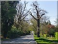 Clandon Road (A247), Burntcommon in GU23 7BT