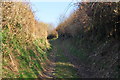 West Somerset : Hare Path in TA24 7EZ