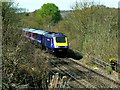 HST 125 (High Speed Train) approaching from the west, Savernake, Wiltshire in SN8 3GP