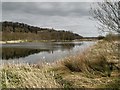 Brockholes Nature Reserve, Nook Pool in Ribbleton Ward