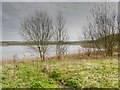 Brockholes Nature Reserve, Ribbleton Pool in Ribbleton Ward