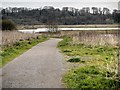 Footpath at Brockholes Nature Reserve in PR5 0AG