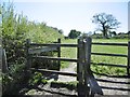 Fawley, kissing gate in SO45 1DW