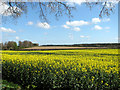 Crop fields by Barmer in Bagthorpe with Barmer