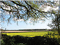 View from All Saints churchyard, Barmer in Bagthorpe with Barmer