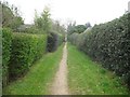 Digswell: Footpath to Welwyn in AL8 7LZ