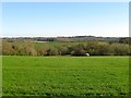 Further South Mead/Seven Acre Field in RH17 6JN