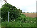 Footpath to Woolham Farm in PE23 5BU