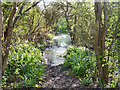 Flooded path in SS4 1QF