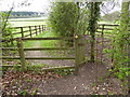 Footpath leaves Horse Croft Copse going northwards in SP11 9HL