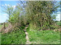 Path to Bassetts Lane in TN8 7DJ