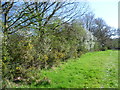Along the path to White Post in TN8 7DJ