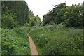 Disused railway from Chatteris to Somersham, now a public footpath. in PE16 6EH