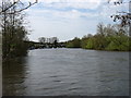 The River Thames west of Hurley in SL6 5NE