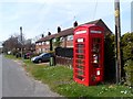 Telephone box used as a book exchange, Little Cressingham in Little Cressingham