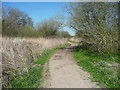 Path in Oughtonhead Nature Reserve in SG5 2QT