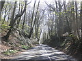 Minor road on Warren Hill in TA17 8TQ