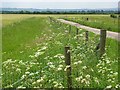 Farmland, Watchfield in SN6 8TH