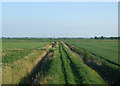 Farm track (by-way) and drains in PE7 2AZ