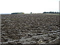 Ploughed field west of Hebron in NE61 3DE