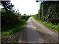 Looking south on Nutbane Lane from footpath junction in SP11 9JB