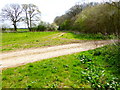 Looking east along the edge of Nutbane Copse in SP11 0HJ